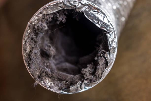 Best Air Duct Cleaning Near Me  in Cypress Quarters, FL